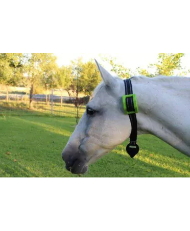 https://naturaequidog.com/produits-connectes/226-gps-pour-chevaux.html