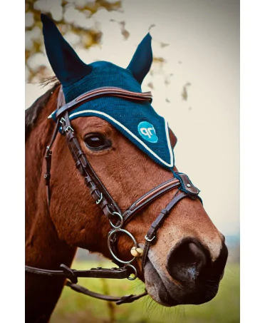 https://naturaequidog.com/accessoires-/337-bonnet-en-pointe-brod%C3%A9-qrsecurite.html