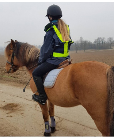 Gilet de Sécurité Réfléchissant à LED qrsecurite animal