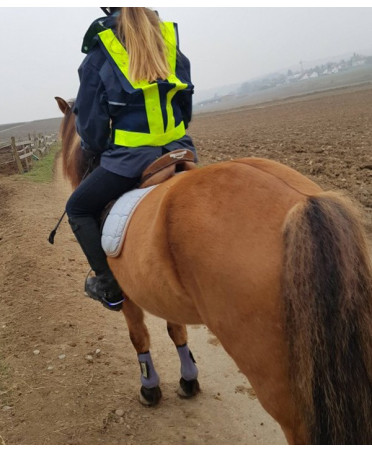 Gilet de Sécurité Réfléchissant à LED qrsecurite animal