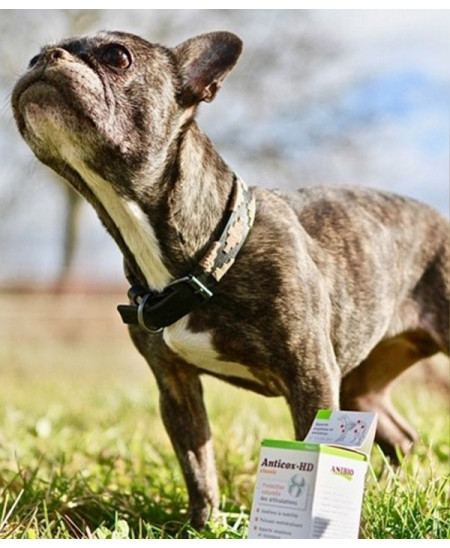 ANIBIO - Protection naturelle des articulations qrsecurite animal