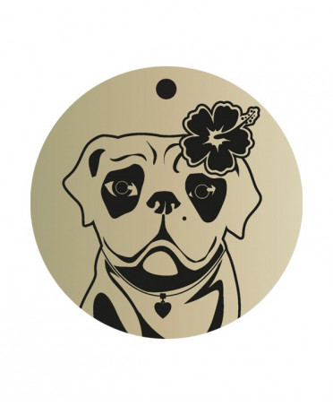 Dog Rescue qrsecurite animal