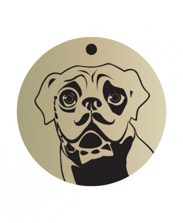 Dog Rescue qrsecurite animal