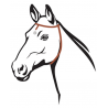 https://naturaequidog.com/anti-mouches-et-tiques/244-anibio-m%C3%A9daille-anti-tiques-pour-chevaux-tic-clip.html