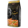 https://naturaequidog.com/leonardo/848-leonardo-fresh-saumon-4kg.html