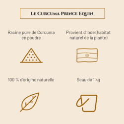 https://naturaequidog.com/complements-alimentaires-naturels-et-bio/993-prince-equin-curcuma.html