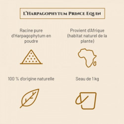 https://naturaequidog.com/accueil/994-prince-equin-harpagophytum.html