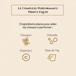 https://naturaequidog.com/accueil/998-prince-equin-complexe-performance.html