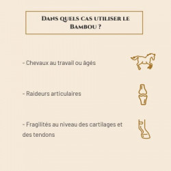 https://naturaequidog.com/complements-alimentaires-naturels-et-bio/991-prince-equin-bambou.html
