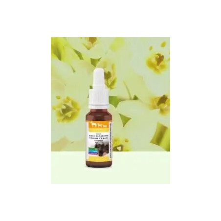 https://naturaequidog.com/les-fleurs-de-bach/1042-fleurs-de-bach-contre-le-stress.html