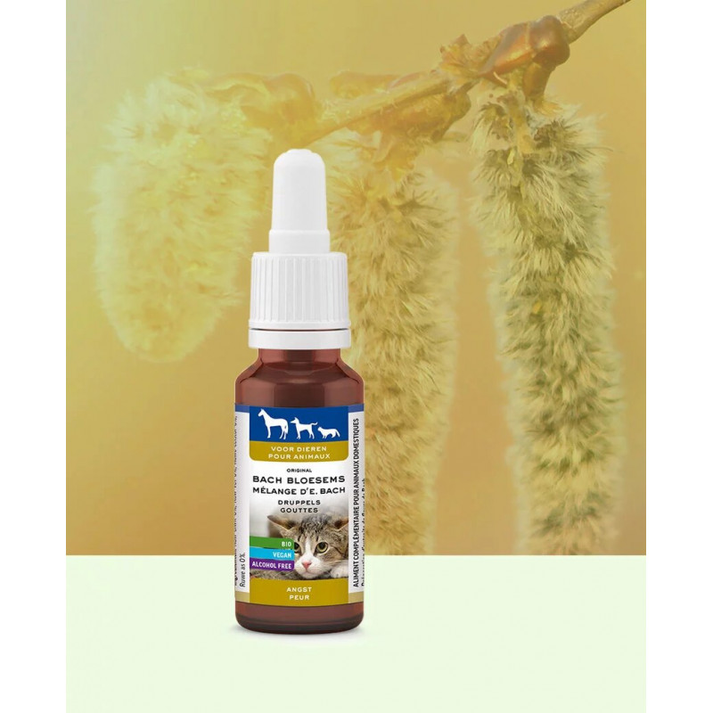 https://naturaequidog.com/les-fleurs-de-bach/1043-fleurs-de-bach-pour-la-peur.html
