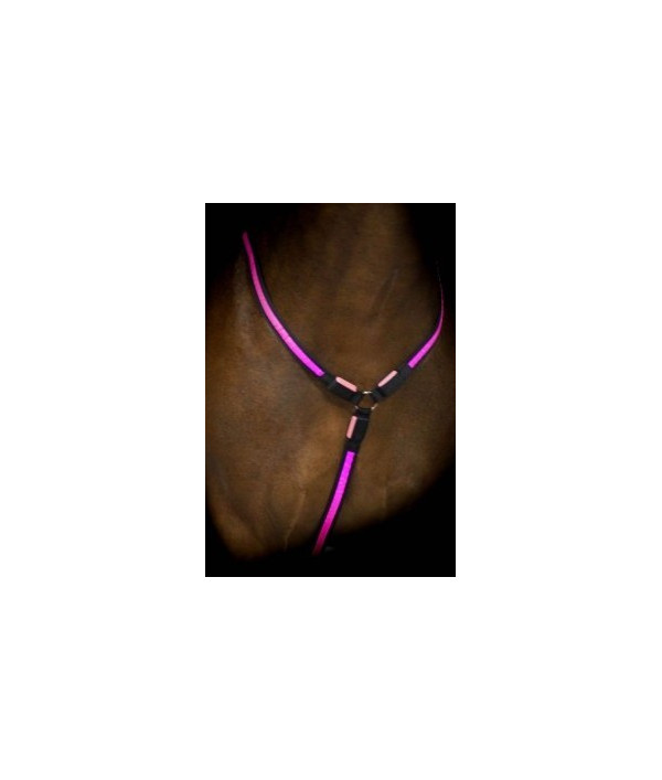 https://naturaequidog.com/accessoires/1116-colliers-de-chasse-lumineux-rose.html