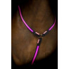 https://naturaequidog.com/accessoires/1116-colliers-de-chasse-lumineux-rose.html
