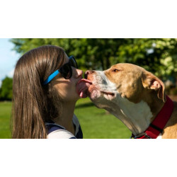 https://naturaequidog.com/les-fleurs-de-bach/1121-pack-consultation-animaux-et-ma%C3%AEtre.html