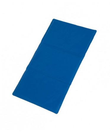 https://naturaequidog.com/les-offres-de-l-ete/1151-tapis-rafra%C3%AEchissant-xl.html