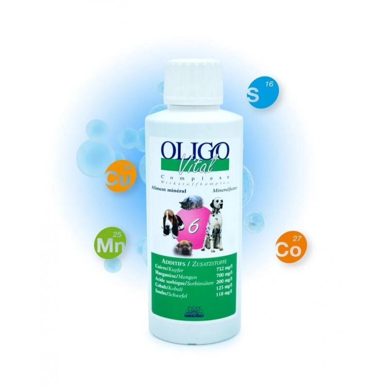 https://naturaequidog.com/oligoth%C3%A9rapie/1158-oligovital-6-demangeaisons-1lt.html