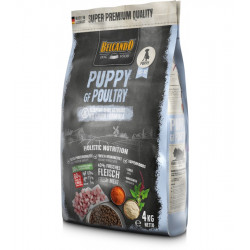 https://naturaequidog.com/nourriture-seche/1196-belcando-puppy-gf-poultry-4kg.html