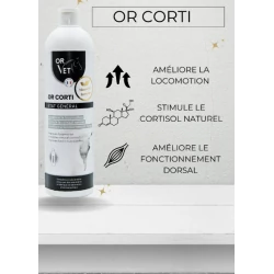https://naturaequidog.com/complements-alimentaires-naturels-et-bio/1106-or-vet-or-corti.html