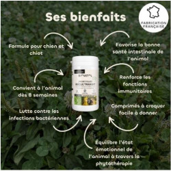 https://naturaequidog.com/complements-alimentaires-naturels/1391-biovetol-probiotiques-regul-transit-chien.html