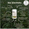 https://naturaequidog.com/complements-alimentaires-naturels/1391-biovetol-probiotiques-regul-transit-chien.html
