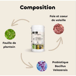 https://naturaequidog.com/complements-alimentaires-naturels/1391-biovetol-probiotiques-regul-transit-chien.html