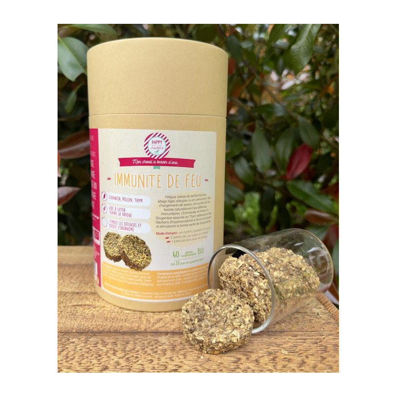 https://naturaequidog.com/friandises/1407-happy-crackers-immunite-de-feu-bio.html