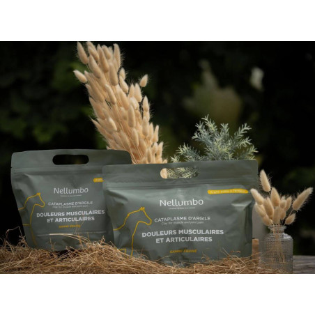 https://naturaequidog.com/produits-de-soins-naturels/1433-nellumbo-douleurs-musculaires-et-articulaire.html