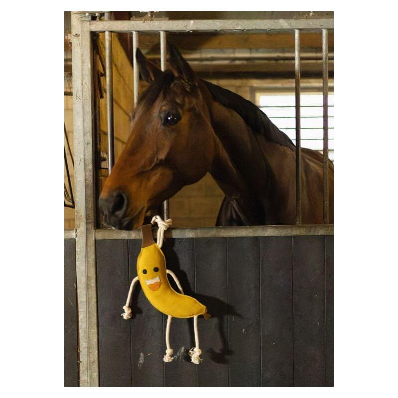 https://naturaequidog.com/accessoires/1440-foodie-friends-banana.html