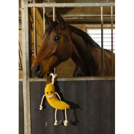 https://naturaequidog.com/accessoires/1440-foodie-friends-banana.html