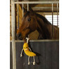 https://naturaequidog.com/accessoires/1440-foodie-friends-banana.html