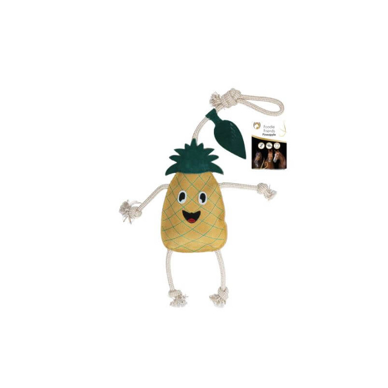 https://naturaequidog.com/accessoires/1441-foodie-friends-ananas.html