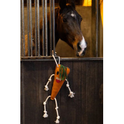 https://naturaequidog.com/accessoires/1444-foodie-friends-carotte.html