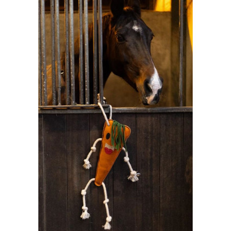 https://naturaequidog.com/accessoires/1444-foodie-friends-carotte.html