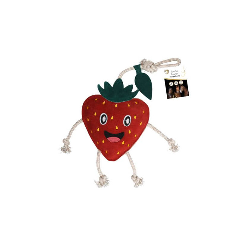 https://naturaequidog.com/accessoires/1445-foodie-friends-fraise.html