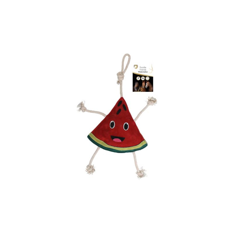 https://naturaequidog.com/accessoires/1447-foodie-friends-pasteque.html