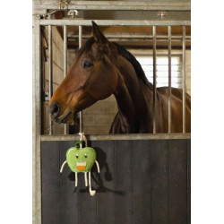 https://naturaequidog.com/accessoires/1448-foodie-friends-pomme.html
