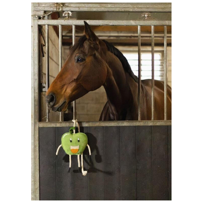 https://naturaequidog.com/accessoires/1448-foodie-friends-pomme.html