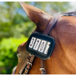 https://naturaequidog.com/accessoires/1454-porte-numero-noir.html