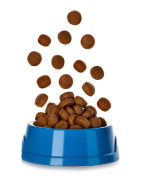 Alimentation-Natura Equidog Vesenaz