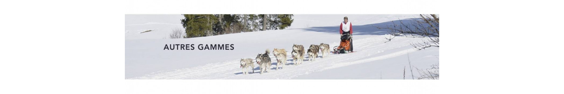 Tout pour votre chien