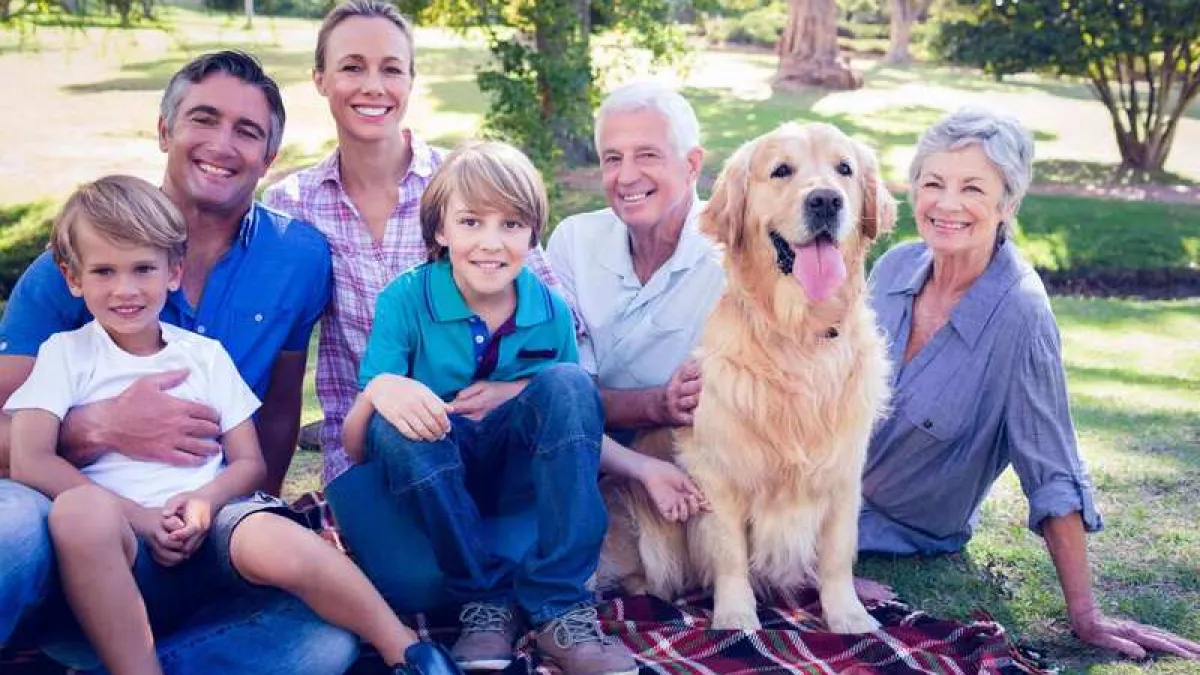 Fleurs de Bach personnalisées | Méthode Dr Bach – Natura Equidog